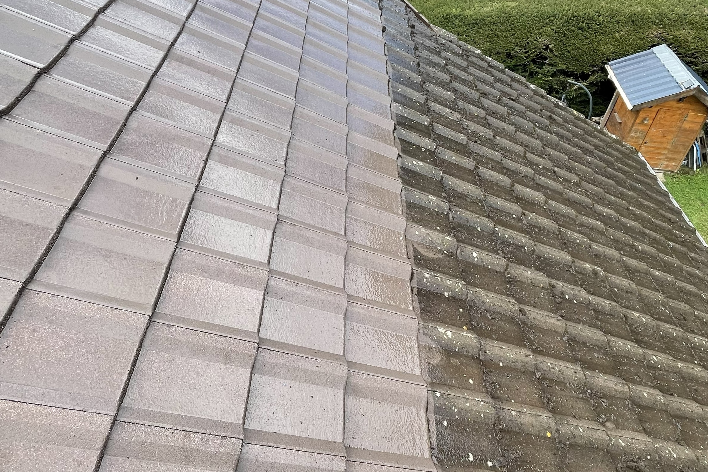 Nettoyage & démoussage (exemple)