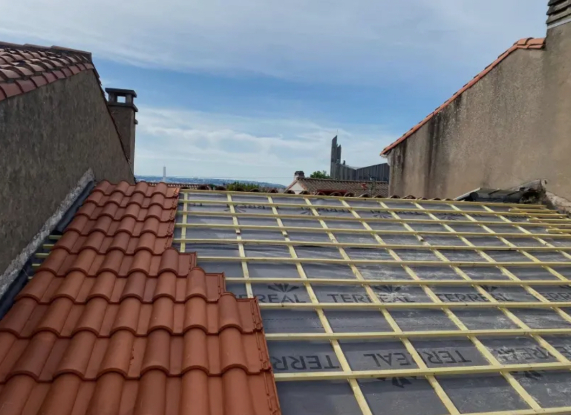 Couverture de toit (exemple)